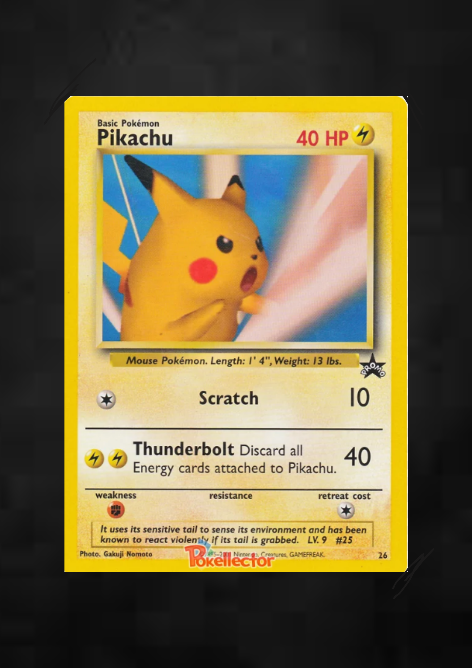 English WOTC