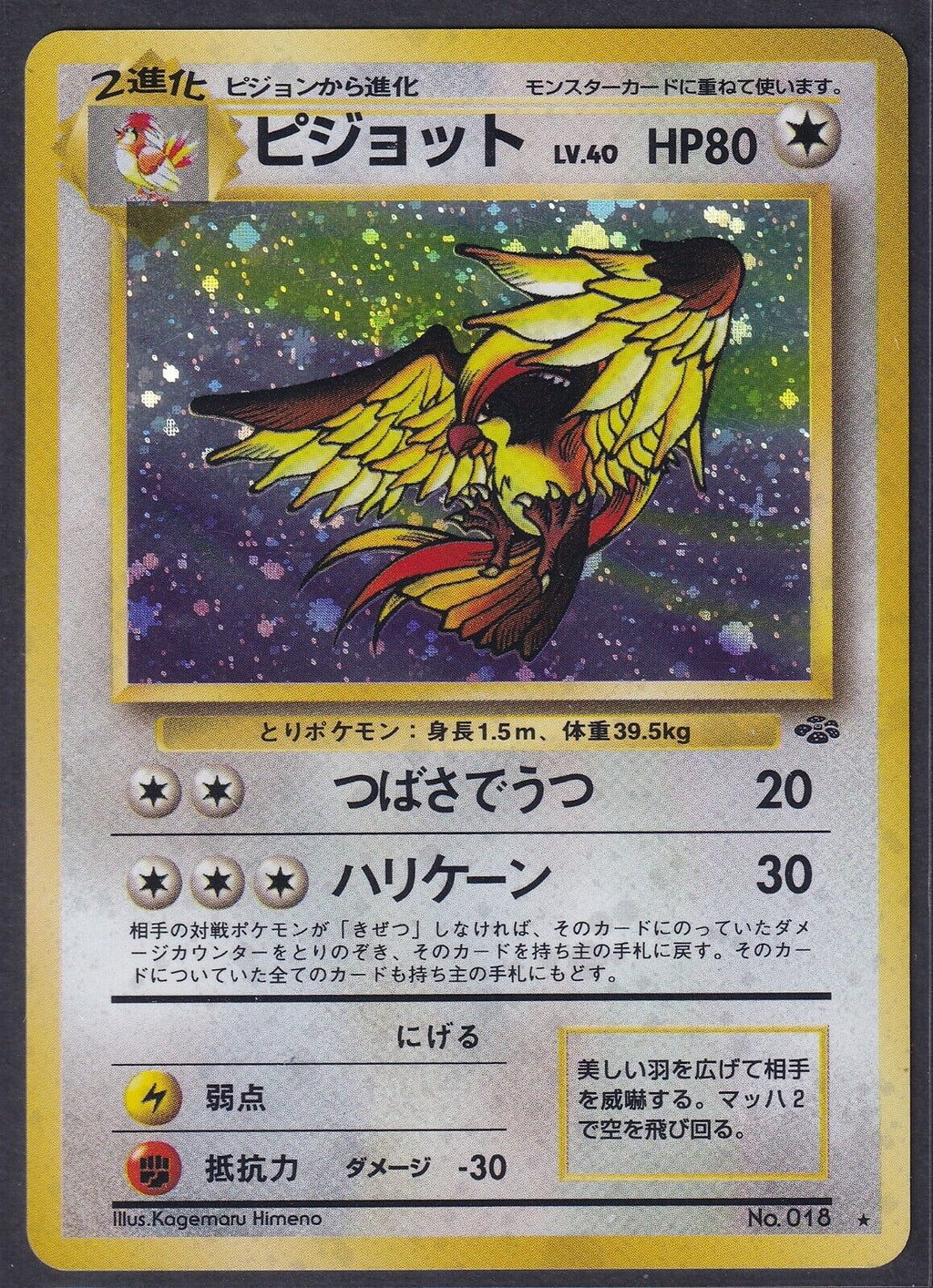 Pokemon Pidgeot No. 018 Japanese Jungle Holo Rare 1997 Old Back Vintage 