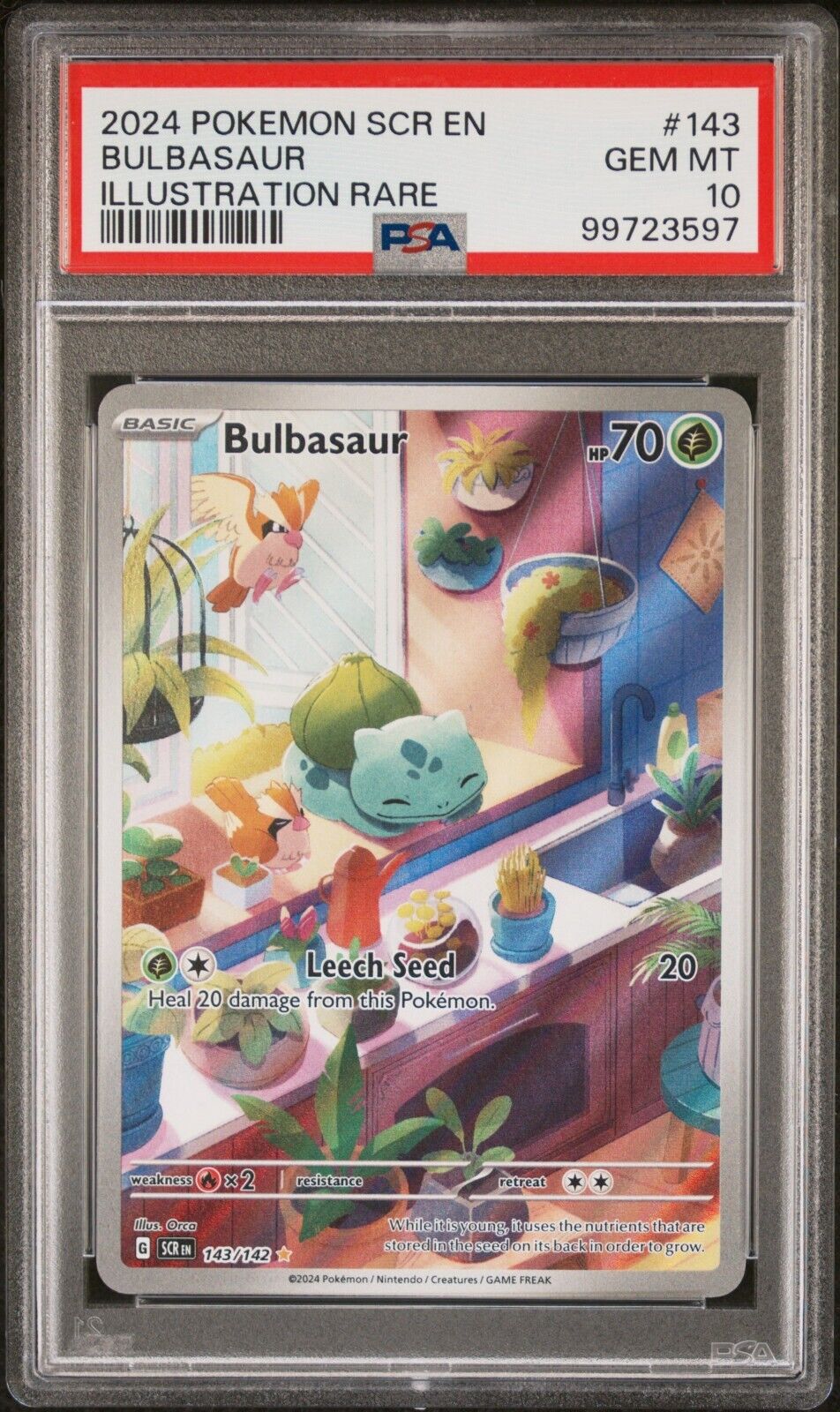 Pokemon Bulbasaur 143/142 PSA 10 Gem Mint SV Stellar Crown Illustration Rare FA