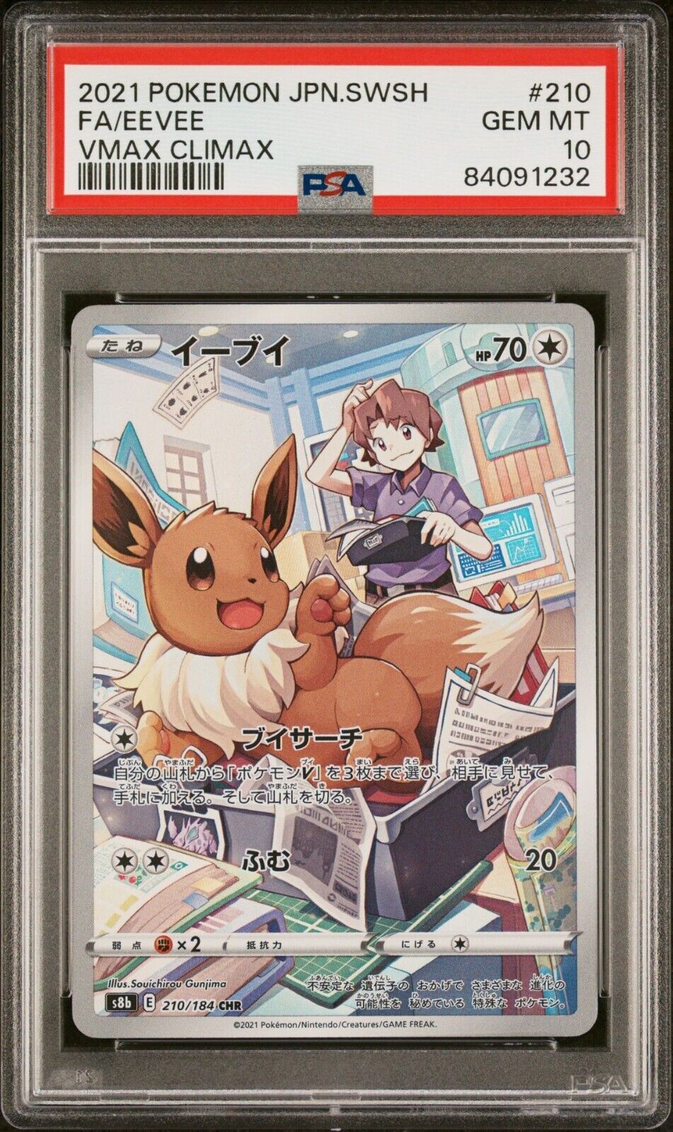 Pokemon Eevee VMAX 210/184 PSA 10 Gem Mint Japanese VMAX Climax CHR Full Art